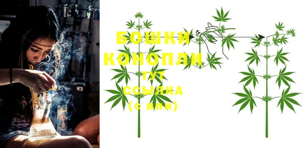 PSILOCYBIN Елабуга