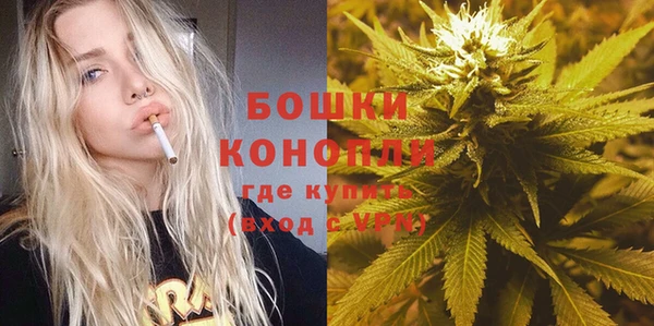 кокс Елизово