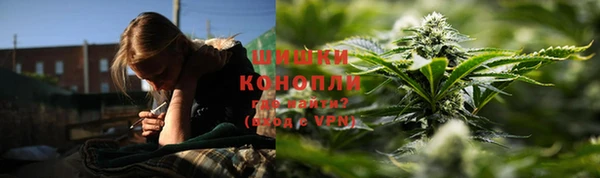 кокс Елизово