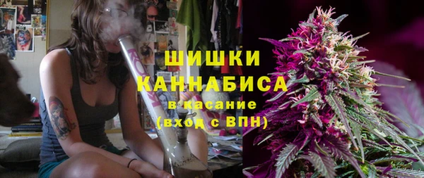 PSILOCYBIN Елабуга