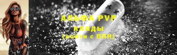 PSILOCYBIN Елабуга