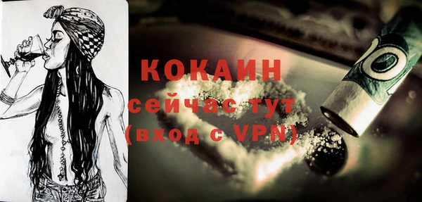 кокс Елизово